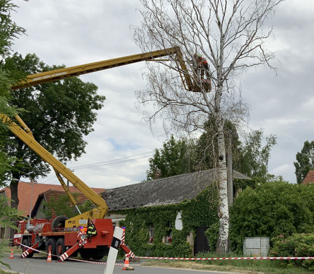 Účastníci byli podrobeni testování a kromě vlastního prověření úrovně znalostí a zkušeností v oblasti péče o doprovodnou zeleň tratí byla zjišťovaná i zpětná vazba s nastavením odpovídající úrovně