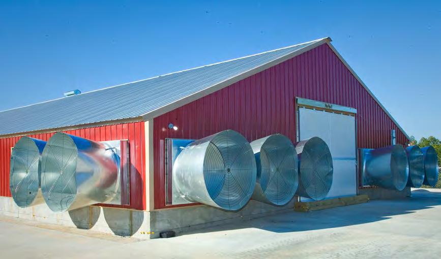 ROSS TECHNOLOGICKÝ POSTUP PRO RODIČE: Požadavky na okolní prostředí Tunelová ventilace Tunelová ventilace se používá pro udržení pocitu chladu u kuřat.