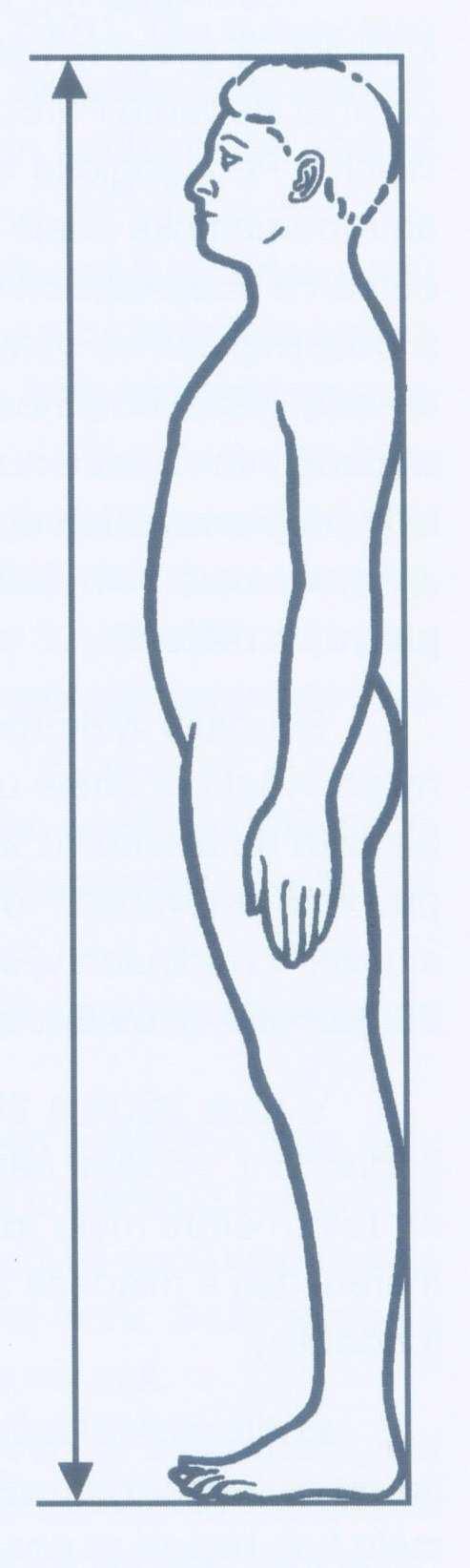 4. 3 Somatometrické parametry Při vyšetřování probandů jsem zjišťovala následující tělesné charakteristiky: tělesná výška, tělesná hmotnost, délka a šířka nohy.