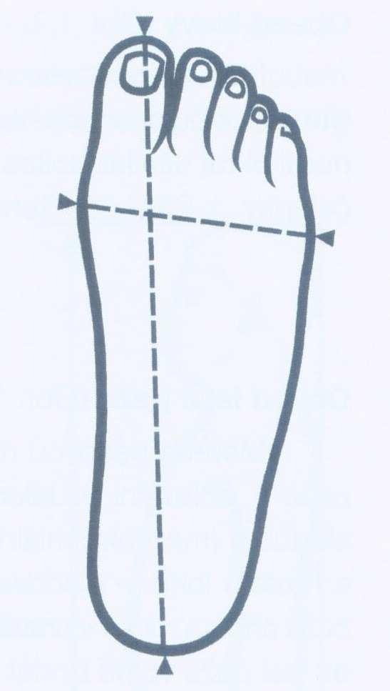 Tělesná hmotnost Pro zjištění hmotnosti jsem použila vlastní osobní digitální váhu. Proband musí stát rovnoměrně na obou nohách, dívat se před sebe, paže má podél těla (Bláha a kol., 2010).
