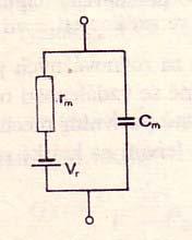 Modelování elektrických vlastností membrán V r - klidový