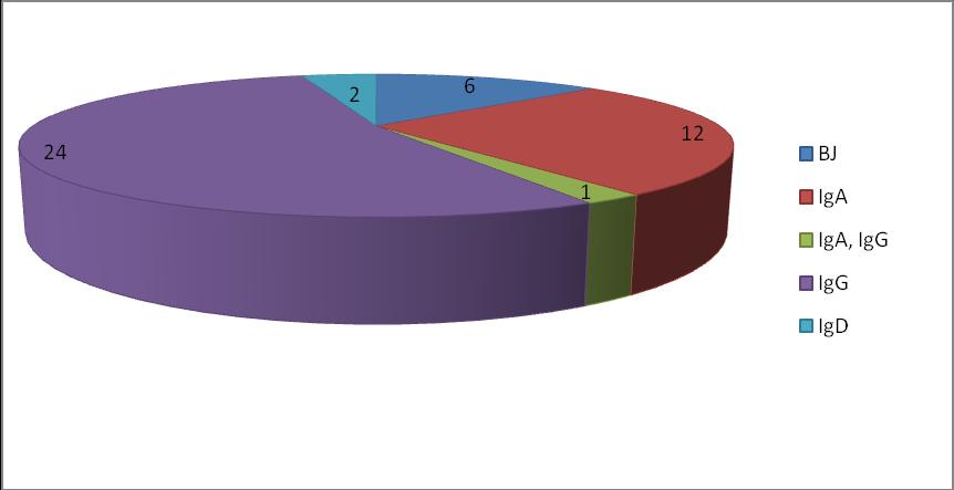 Graf č. 4: Poměr stádií onemocnění MM dle klasifikace Durie a Salmona. Nejčasttějším typem MM byl IgG (24/53,3 %) (graf č. 5). Graf č. 5: Poměr typů MM.