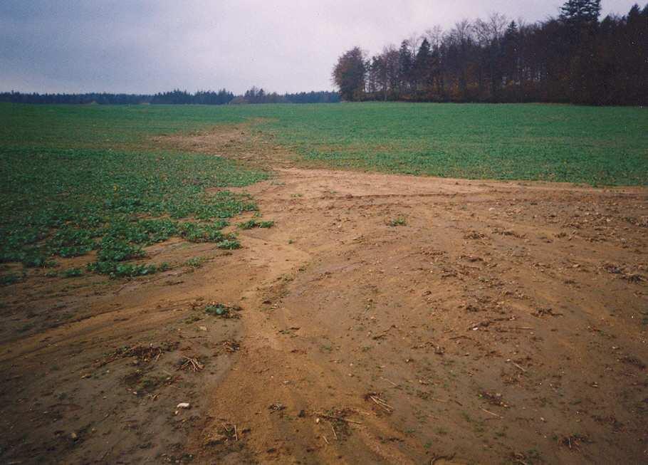 Nejvhodnější ochranou těchto míst je vegetační kryt v podobě zatravnění.