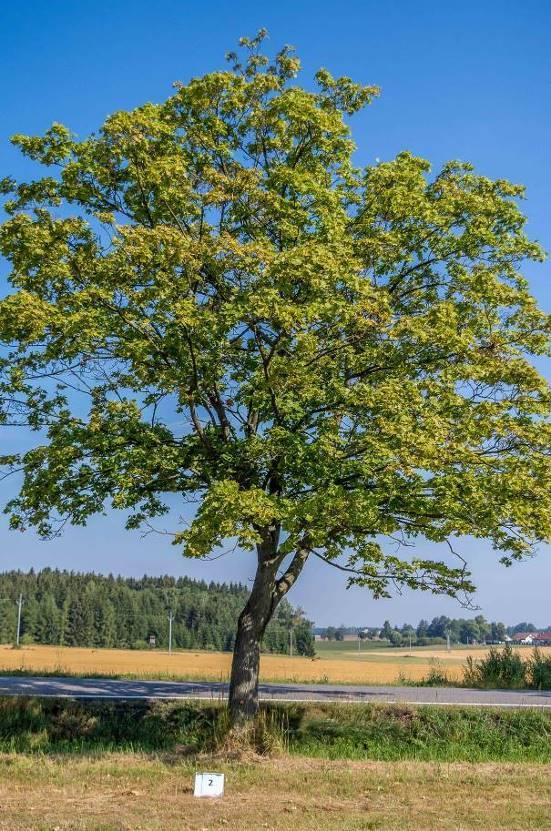 Příloha 04 fotodokumentace fotografie aktuálního stavu (tzn.