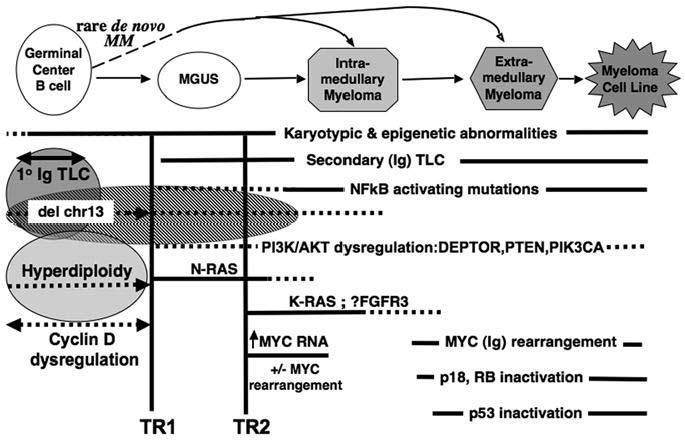 Fig. 1. Molecular pathogenesis of MGUS and MM.