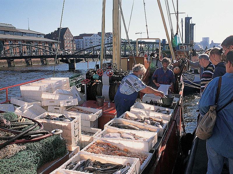 FISHMARKT V neděli ráno se v Hamburku rozhodně nespí! Už od pěti od rána se na rybím trhu pohybuje kolem 70 000 lidí, kteří čekají na čerstvé ryby.