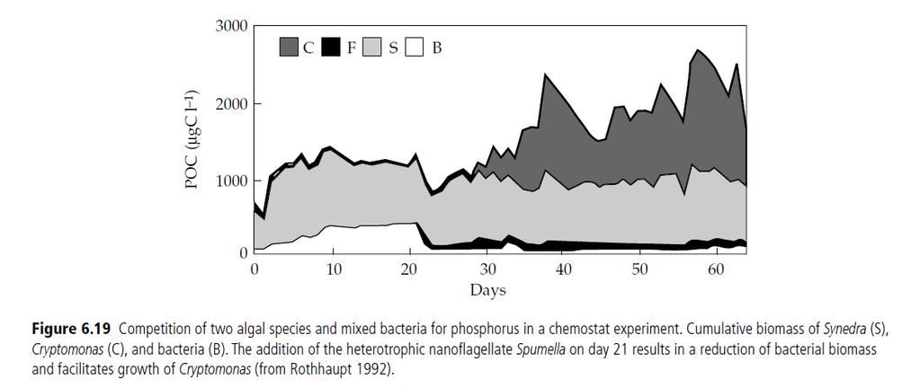 kompetice dvou druhů řas (S = Synedra, C = Cryptomonas) a směsi bakterií (B) přídavek bičíkovce 21.