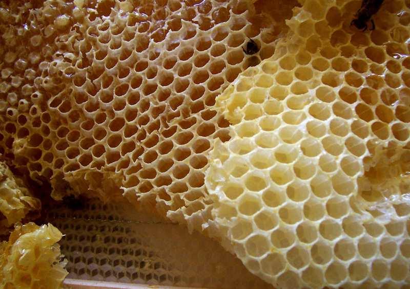 VSKY (CERIDY) Včelí vosk Vosk obsahuje až 284 různých složek.