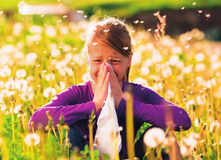 IMMULITE 2000 / XPi 3g Allergy testy nové generace Co Vám můžeme nabídnout: více než 450 alergenů, alergenových panelů a alergenových komponent,