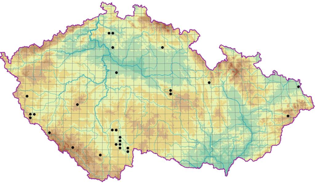 Mokřadní olšiny a vrbiny (Alnetea glutinosae) (Geißelbrecht-Taferner & Wallnöfer in Mucina et al.