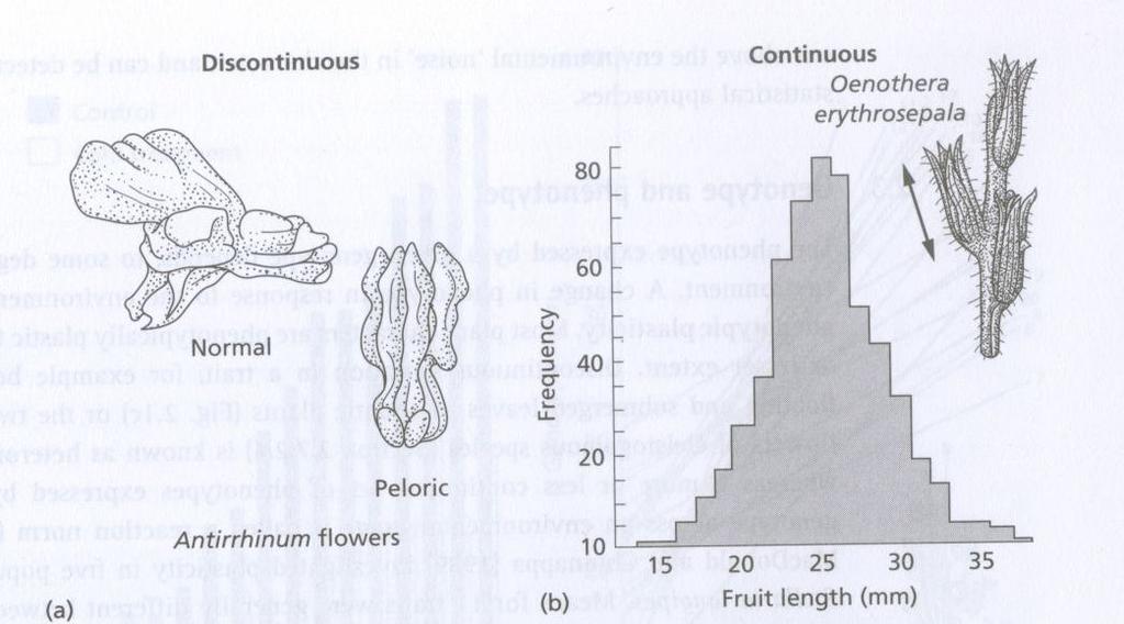 Genetická variabilita Základ pro evoluci,