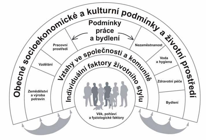 1 ZDRAVÍ A JEHO DETERMINANTY Zdravotní stav populace je ovlivňován mnoha faktory na různé úrovni působení.