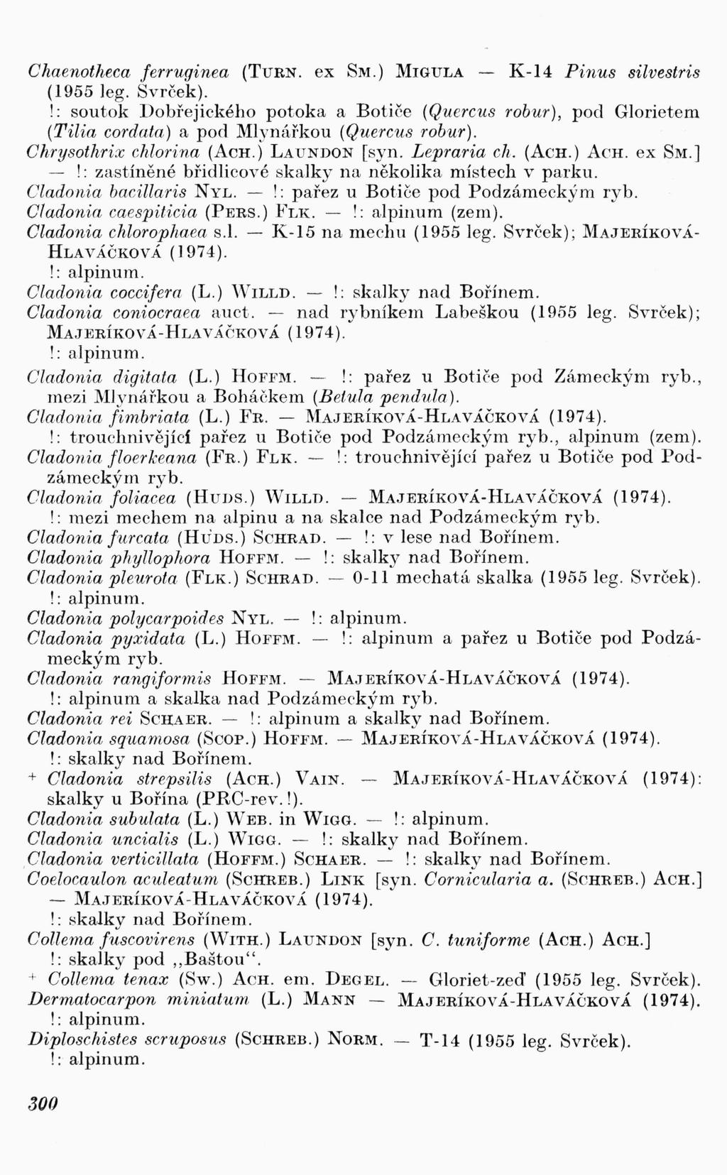 Chaenotheca ferruginea (TURN. ex SM.) MIGULA K-14 Pinus silvestris ( 1955 Jeg. Svrček).