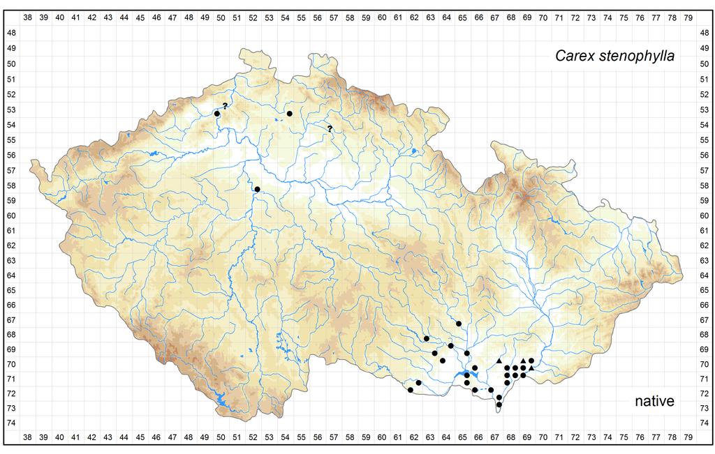 Distribution of Carex stenophylla in the Czech Republic Author of the map: Vít Grulich, Radomír Řepka Map produced on: 12-05-2016 Database records used for producing the distribution map of Carex