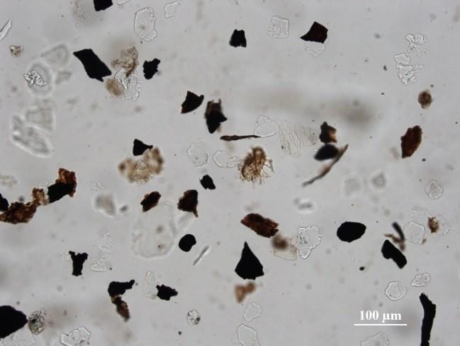 3 Zastoupení organického materiálu udávané v % Zastoupení organického materiálu (%) vzorek