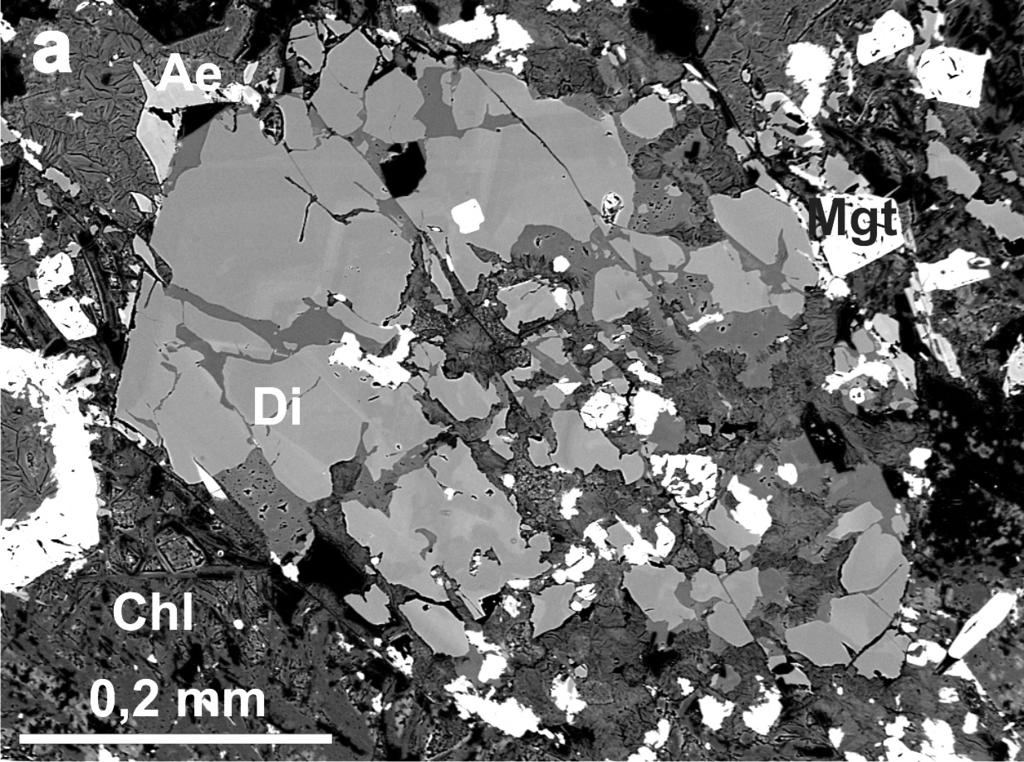 Obr. 1: Monchiquity a pikrity v BSE snímcích: (a) vyrostlice pyroxenu je částečně zatlačována chloritem, monchiquit z lokality Příluky (DH 49); (b) sektorově zonální vyrostlice pyroxenu obklopená