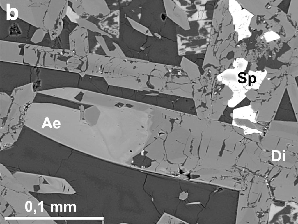 1: Monchiquite and picrite in BSE images: (a) pyroxene phenocryst partially replaced by chlorite in monchiquite from locality Příluky (DH 49); (b) sector-zoned pyroxene phenocryst surrounded by