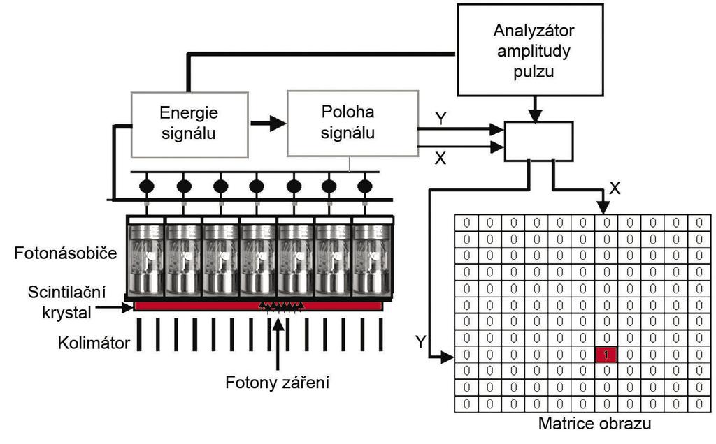 26 Obrázek 3: Schéma Angerovy scintilační kamery 3.4 