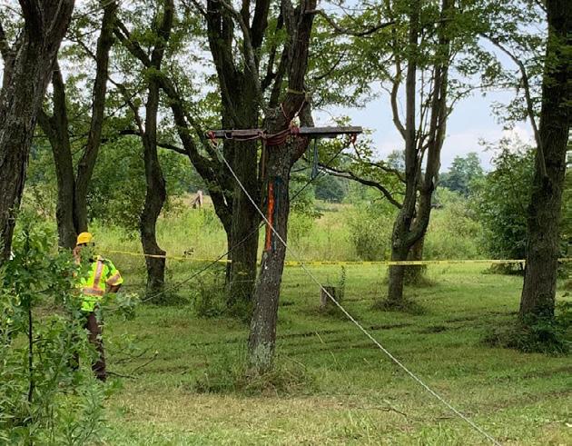 Anand B. Persad (Davey Tree Expert Co.) Výzkumná skupina Dr. Persada měla v tomto roce jeden z divácky nejatraktivnějších projektů.