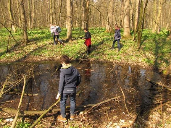 I v celostátním kole Eurorebusu si zástupci tříd vedli velmi dobře. Nejlépe se umístila třída sekunda A, která získala nejen druhé místo v kategorii tříd ZŠ01, ale i hezké věcné ceny včetně tiskárny.