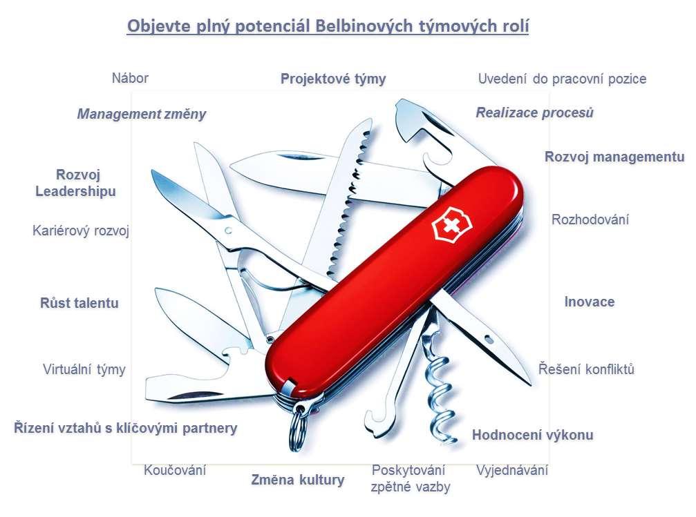 Funkční role Moje pracovní pozice, kterou jsem