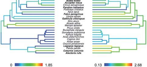 et al Biol J Linn Soc