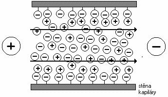 Obr. 1 Elektroosmotický tok v separační kapiláře.