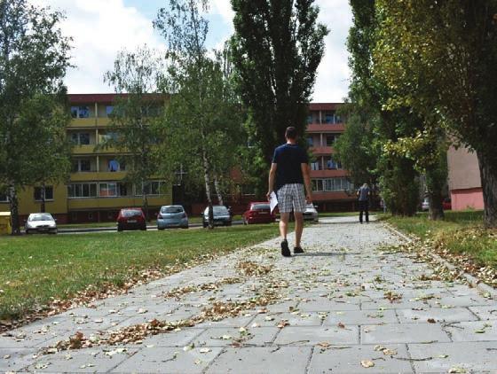 chodníky, které obyvatelům zpříjemňují chůzi u domu s pečovatelskou službou na ulici Přichystalova. Pojďme si nyní tyto počiny detailněji přiblížit.