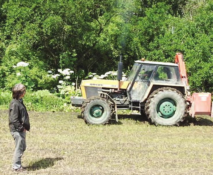 nami a pokračování v jejich pěstování v následujících letech zmenšuje výskyt invazních bolševníků na poli.