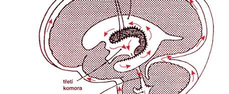 tkáňové tekutiny - Arachnoidea- pod ní subarachnoidální prostor mozkomíšní mok - Pia mater Tvorba likvoru: 0,5 ml/min., tj.