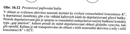 LIKVORENCEFALICKÁ BARIÉRA Morfologický podklad HEB tvoří struktura mozkových kapilár,