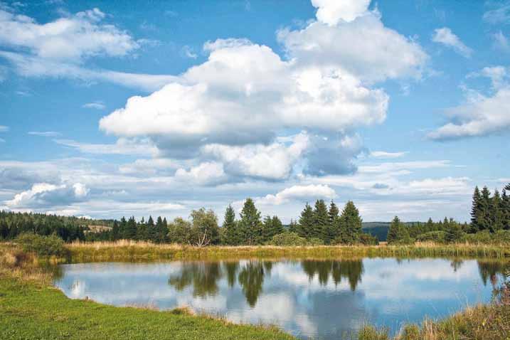 KRUŠNÉ HORY Magická horská krajina, drsná a romantická zároveň, čeká, až ji objevíte. Přes rozkvetlé louky na širokých náhorních plošinách se klikatí říčky a potoky.