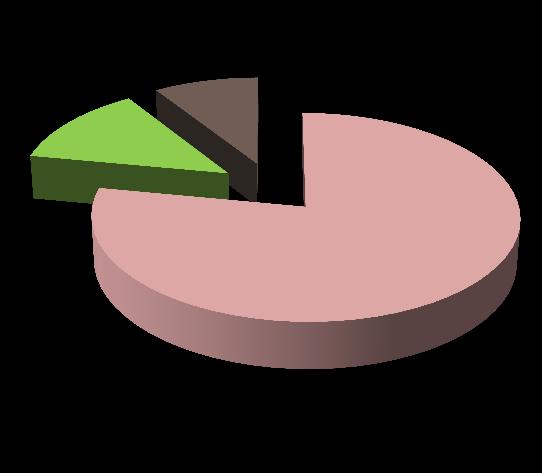 Rozložení VF podle zdroje financování 13% 9%