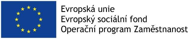 Obecné informace o projektu Číslo výzvy: 03_15_029 OPZ (individuální výzva) Název výzvy: Výzva na systémové projekty pro ostatní