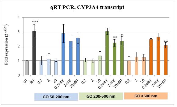 In addition to the CYP3A4, we also studied the multidrug resistant protein (MDR1) also known as P-glycoprotein (P-gp).