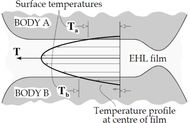 2.3.2 Rozložení teploty Viskozita maziva je v elastohydrodynamickém režimu mazání výrazně závislá na tlaku.