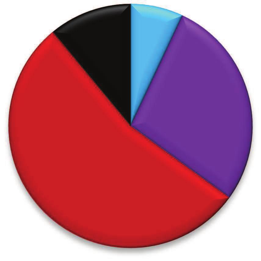 Spolenosti jsou tvoeny dlouhodobým majetkem z 3-4 % a obžným majetkem z 6-7 %. Financování dlouhodobého a obžného majetku se uskuteuje vtšinou pomocí cizích zdroj.