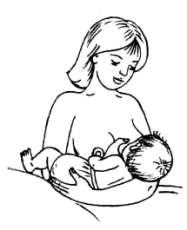 Nenutritivní složky mateřského mléka Obranné látky: celulární složka (makrofágy, neutrofilní polynukleáry, T a B-lymfocyty, epiteliální bb.