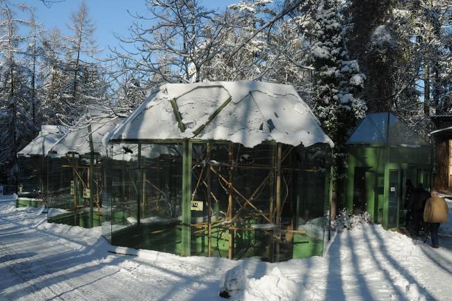 Zoologická zahrada v Olomouci nabízí v zimním období nevšední podívanou na nádherně zasněžené pavilony a pohádkovou zimní krajinu.