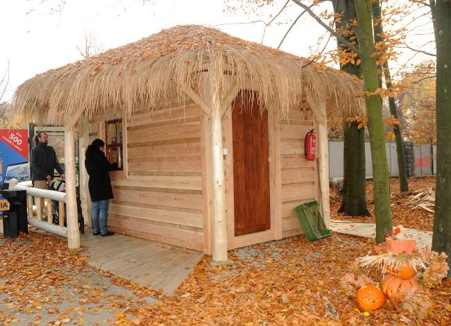 Jsou velmi zajímavě zbarvení a pěkně zapadají do rovněž všemi barvami hýřící podzimní zoo.