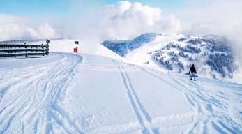 SAALBACH HINTERGLEMM LEOGANG FIEBERBRUNN Rakousko - lyže 13. 3. - 16. 3. 2020 (pátek-pondělí) Bez nočních přejezdů 4 890,- dospělý ve 2 lůž.