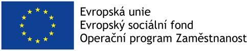 Dílčí závěry z evaluace sociálně inovačního projektu na téma