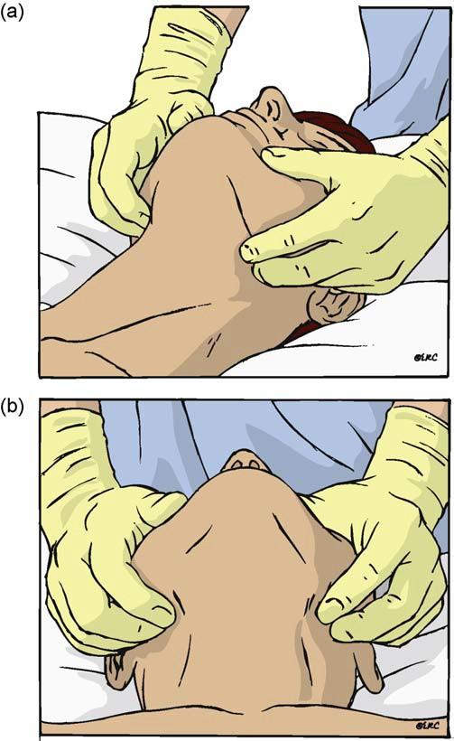 CPR Ventilace maskou a ambuvakem (30:2)