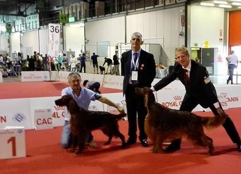 Světová výstava 2015 C.I.E., World Winner ABANDINUS Elimar Doubrava Letošní světovou výstavu psů hostilo italské Miláno. Sedmé skupině FCI a tedy našemu želízku v ohni patřil čtvrtek.