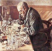 Historie 10 Robert Koch (1843 1910), rozvíjel mikrobiologii v Německu. Zavedl kultivaci ve visuté kapce. Objevil sporulaci Bacillus anthracis původce sněti slezinné. Objevil původce tuberkulózy.