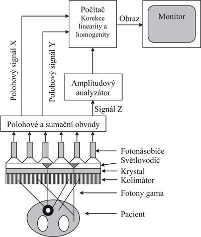 Příloha 3 - Akvizice a rekonstrukce SPECT Zdroj: ULLMANN, Vojtěch, RNDr., Scintigrafie, AstroNuklFyz.