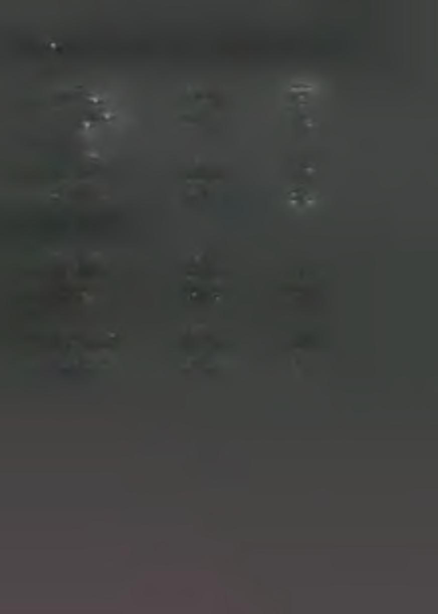 BÍLINSKÁ PŮLKA 14.9.1997 XXV.
