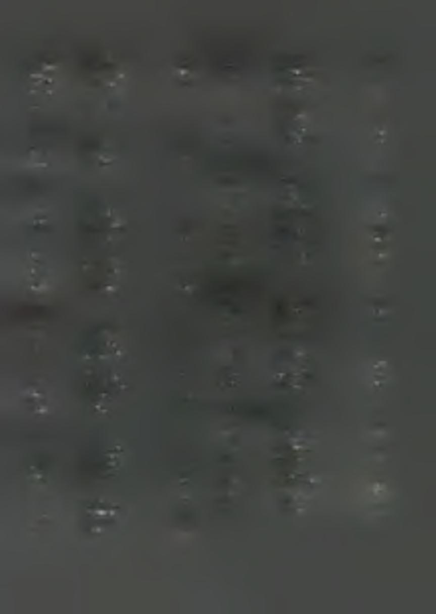 3 000 m př.