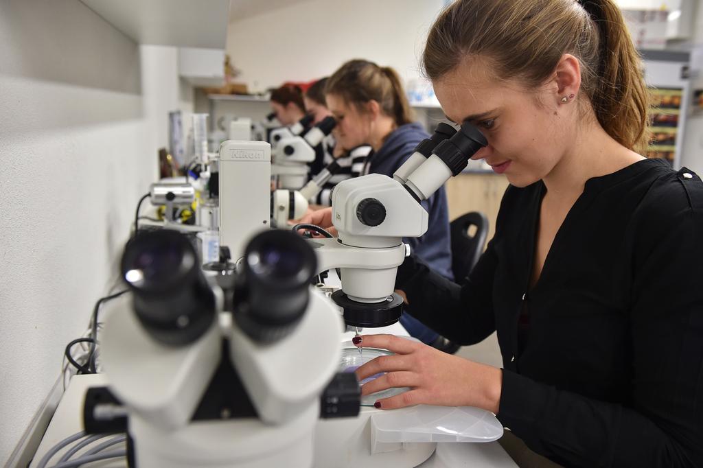 JUNIORSKÁ UNIVERZITA Fakulty rybářství a ochrany vod Jihočeské univerzity v Českých Budějovicích Máte ve škole studenty zapálené pro přírodovědné obory, které baví biologie, ekologie, chemie,