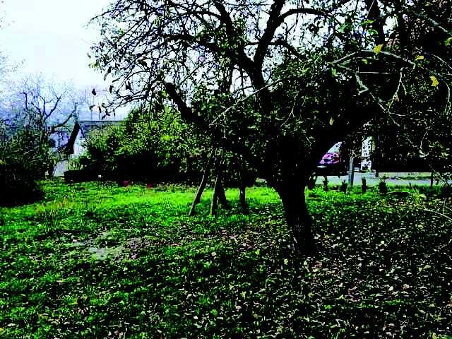 Záznam o prodeji srovnávané nemovitosti è. 4 1. Identifikace Prodej, Pozemek, 1440 m 2, Starý Bydžov, okres Hradec Králové Celková cena: 720.000 Kè Adresa: Starý Bydžov, okres Hradec Králové 2.